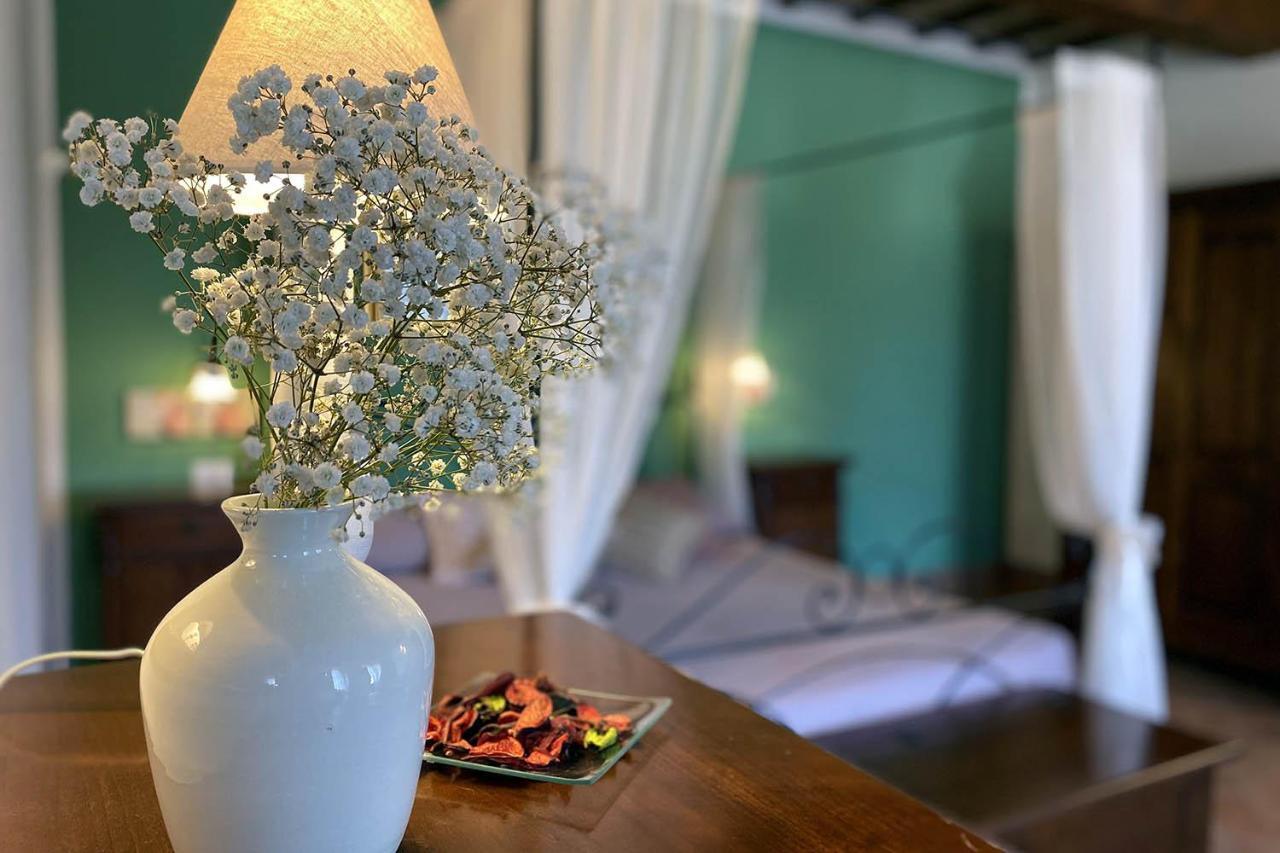 סנטה לוצ'ה Il Poggio Della Pieve Apartments מראה חיצוני תמונה